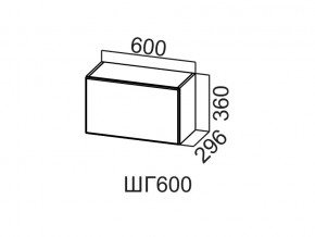 ШГ600/360 Шкаф навесной 600/360 (горизонт.) в Катав-Ивановске - katav-ivanovsk.магазин96.com | фото