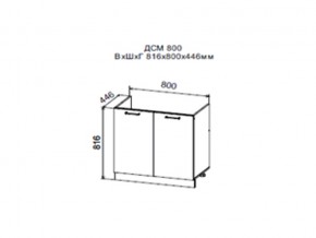 Шкаф нижний ДСМ800 под мойку в Катав-Ивановске - katav-ivanovsk.магазин96.com | фото