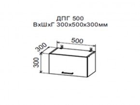 Шкаф верхний ДПГ500 горизонтальный в Катав-Ивановске - katav-ivanovsk.магазин96.com | фото