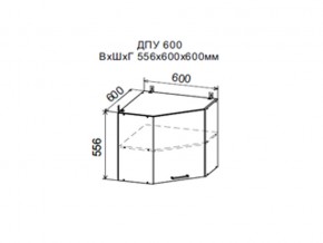 Шкаф верхний ДПУ600 угловой в Катав-Ивановске - katav-ivanovsk.магазин96.com | фото